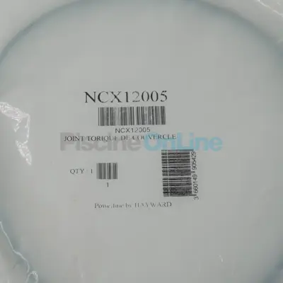 Joint torique pour couvercle de filtre Hayward FG / NC (NCX12005)