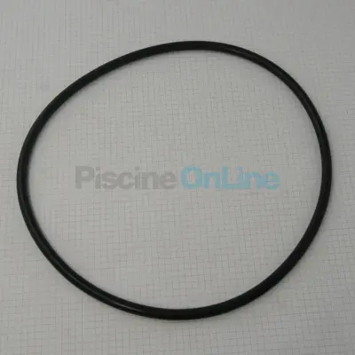 Joint torique pour couvercle de filtre Hayward FG / NC (NCX12005)