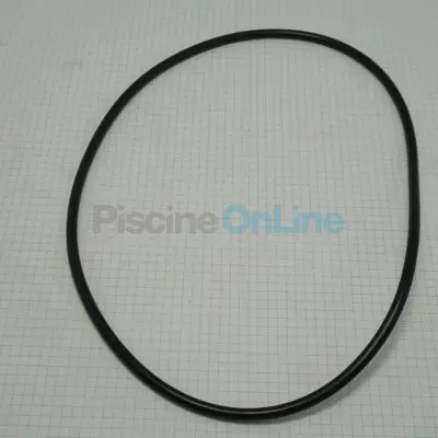 Joint Torique diamètre 226x6 pour pompes / nage à contre courant Astral (4405010378)