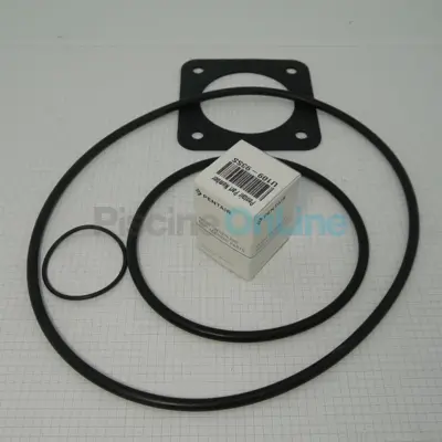 Kit joints + garniture mécanique pour pompe STA-RITE 5P2R (avant 04/2009) (PP1000)