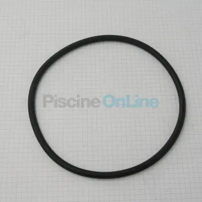 Joint de couvercle 152x7 mm pompe Europa, Glass Plus, Starplus, Superplus, Malawi, Proline, Swimflo HGS (4405010178)