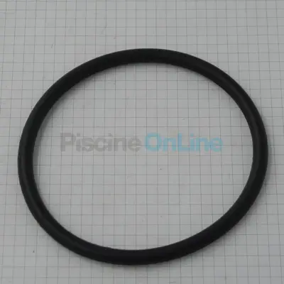 Joint torique Ø100x6,99 pour douche solaire Astral (4401043609)