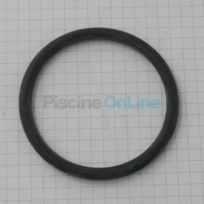 Joint torique pour Filtre à sable ESPA Libra (136941)