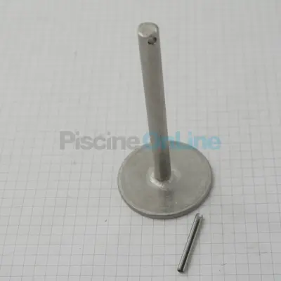 Bouton couvercle pour passage de rangement (ramasse-lignes) de lignes de nage ASTRAL (4401080201)