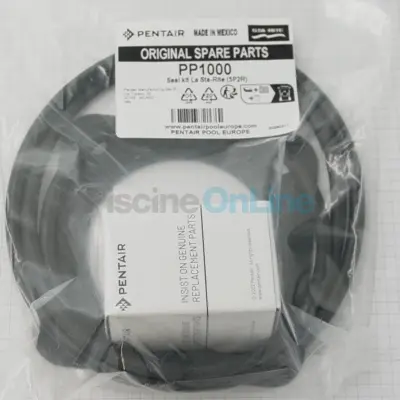 Kit joints + garniture mécanique pour pompe STA-RITE 5P2R (avant 04/2009) (PP1000)