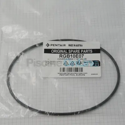 Joint Torique pour vannes Pentair 1''1/2 E-26-1069, E-26-1070 - 132,7x3,4 (RGB10E07)