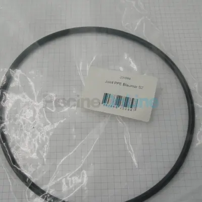 Joint pour pompes ESPA Blaumar S2, Silen S2, Silenplus, Poseidon, Silen Plus 2M, 3M (204888)
