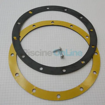 Joints de Bride x2 bonde de fond + 2 Vis - 105D203L (SNTE) (CE02020004)