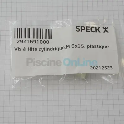 Vis à tête cylindrique. M 6 x 35. plastique pour pompes BADU / NCC BADU JET (2921.691.000)