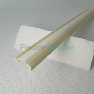 Déflecteur pour balai Aspirateur Certivac (CVP4)