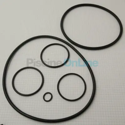 Kit joints pour pompes Verdon 0,5 à 2 CV (4405010899)