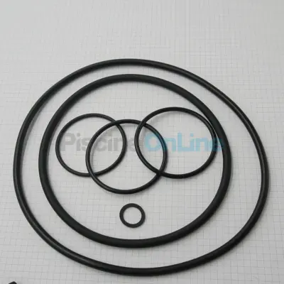 Kit joints pour pompes Verdon 0,5 à 2 CV (4405010899)
