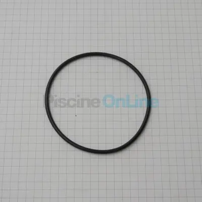 Joint de Traversée pour FILTRE PENTAIR D.E. (FNS+.Clean & Clear+.FNS) - 67mm (R192320)