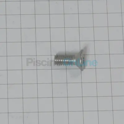 Vis TS+ M4x10 inox A2 UNI-7688 pour pompes doseuses Microdos (00.034.005)