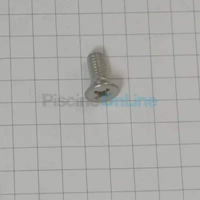 Vis TS+ M4x10 inox A2 UNI-7688 pour pompes doseuses Microdos (00.034.005)