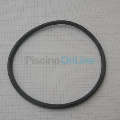 Joint de couvercle pompe Astral Glass 1''1/2 160 mm (01163R0002)
