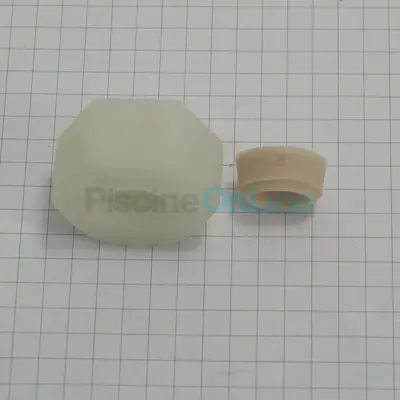 Ecrou + joint presse-étoupe pour corps de projecteur BWT ADY/Aquareva PL84 (44000036)