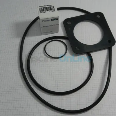 Kit joints + garniture mécanique pour pompe STA-RITE 5P2R (après 04/2009) (PP1000S)