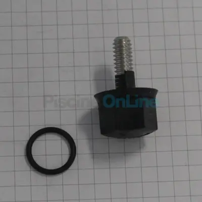 Vis + joint de Turbine pour pompe Pentair Ultraflow (R39009900)