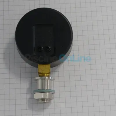 Manomètre complet Filtre à sable BWT Poly Pearl S (125564097)