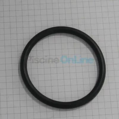 Joint de Traversée pour filtre à diatomée Pentair D.E. (FNS+. Clean & Clear+. Quad) (R86006900)