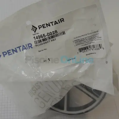 Boisseau + Joint pour vanne STA-RITE multivoies 1 1/2" (14965-0028)