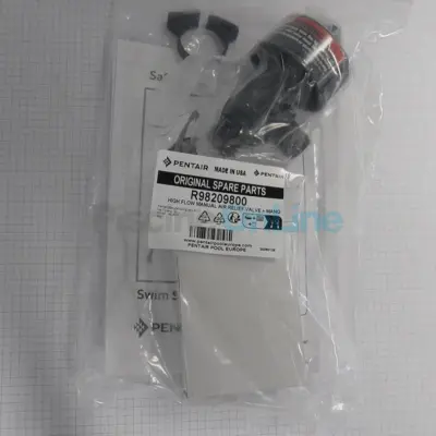 Purge d'air manuelle pour Filtre D.E. (Clean & Clear+. FNS+) + manomètre (R98209800)
