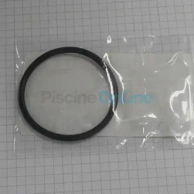 Joint torique pour raccordement au filtre. 49 x 3.5 mm pour pompes / ncc BADU (2607.101.019)