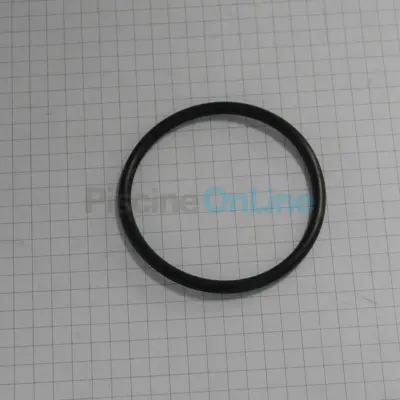 Joint torique pour raccordement au filtre. 49 x 3.5 mm pour pompes / ncc BADU (2607.101.019)