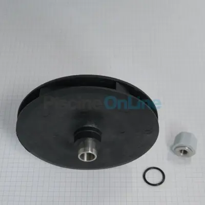 Turbine pour pompe SNTE/CERTIKIN SWIMFLO 3 cv Tri (CE05012027)