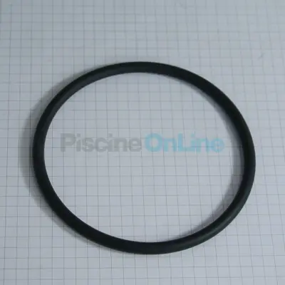 Joint torique Ø89.69 x 5.33 mm pour électrolyseur ASTRALPOOL (4408040244)