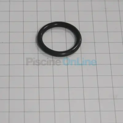 Joint Viton pour appareil UV DELTA UV E / ES – BIO-UV (DUV44-02221)
