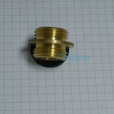 Raccord Sortie 1/2" pour douches solaires Astral (4401040031)