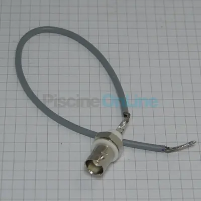 Connexion femelle BNC Exactus 2009 (4408032603)