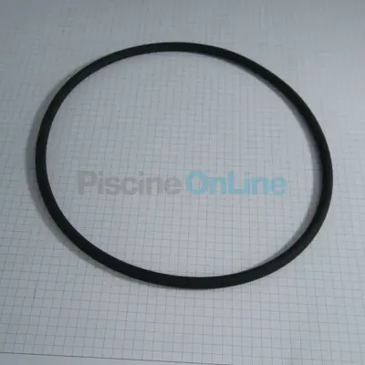 Joint torique de couvercle. 175 x 6.5 mm pour pompes BADU (2902.041.210)