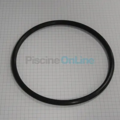 Joint de couvercle de pompe Pentair Freeflo (Ø intérieur 127.5 Épaisseur 7.0 mm) (R0009)