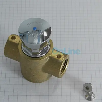 TE ROBINET DE DOUCHE TEMPORISE (Douche ASTRAL) (4401040501)