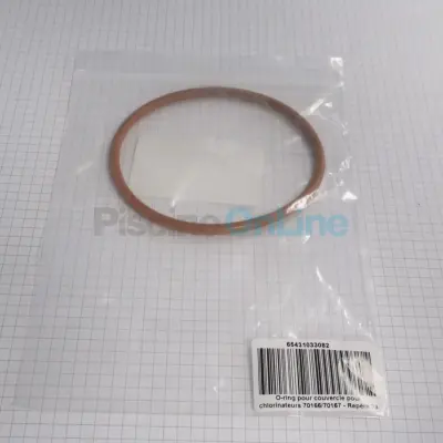 Joint de couvercle de chlorinateur EPAI 70166/70167 (65431033080)