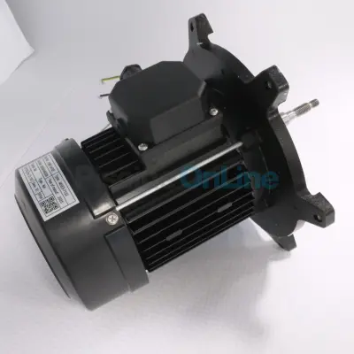 Moteur de pompe Verdon 1 CV Triphasé (Astralpool) (73681R0475)
