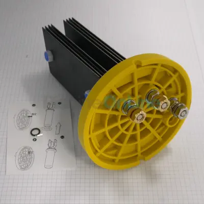 Cellule électrode pour électrolyseur Elite Connect LS 60 (70317)