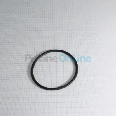Joint torique 90 x 5 mm pour diffuseur de pompe BADU (2920.141.210)
