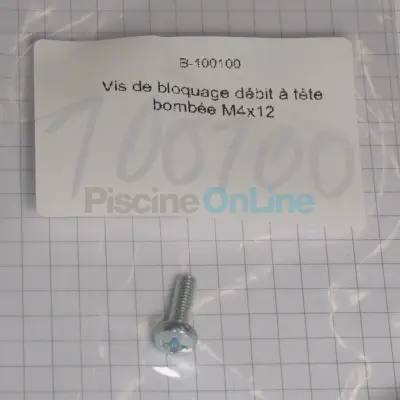 Vis de bloquage débit à tête bombée M4x12 (B-100100)