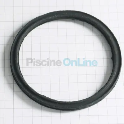 Joints de diffuseur Ø60/53 (x10) pour pompes KRIPSOL Epsilon/Koral RKS 110.A (RPUM0011.02R) (500100120002)