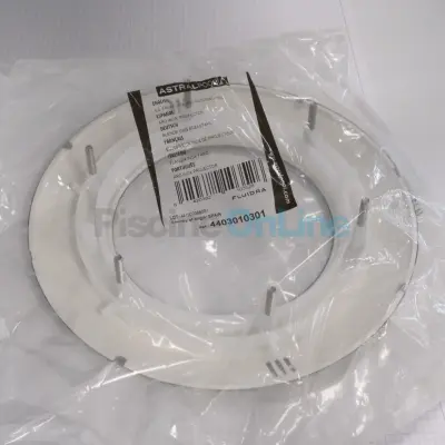Enjoliveur Inox pour projecteur standard - piscines Liner/Béton (4403010301)