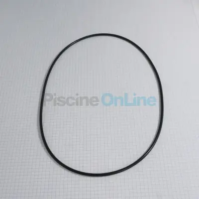 Joint moulé 752x4mm pour corps de réchauffeur Zodiac Red Line (WJW01662)