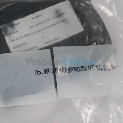 Set de joints pour Filtre à sable BWT P-FI et P-GFI 500 (20951075)