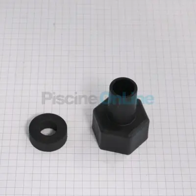 Kit Bouchon porte-sonde PH et Sel + Joint 25882R0014 (4408040444)