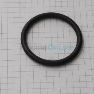 Joint torique Ø40/4.5 pour UV SUNEO (2510006)