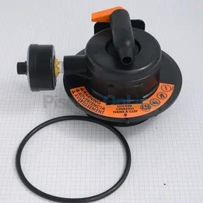 Tête de filtre Hayward Pro Grid / Swimclear complète avec purge et manomètre (DEX2420MAR2)