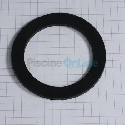 Joint plat pour raccord de pompe Astral Bering (48384R0008)